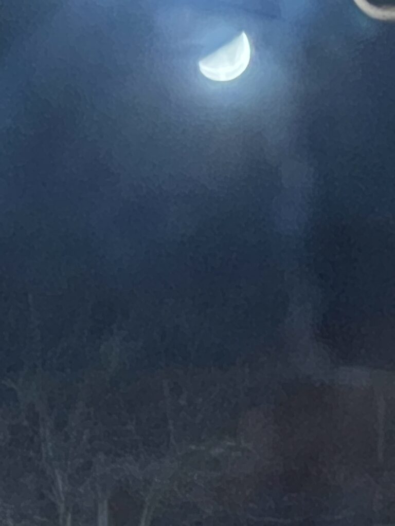 Half moon on a dark sky